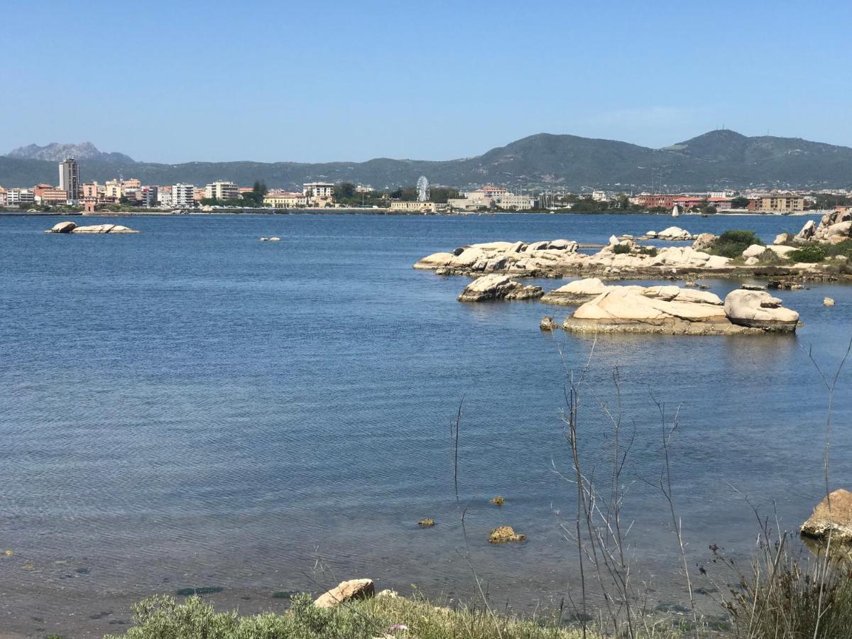 House * Olbia